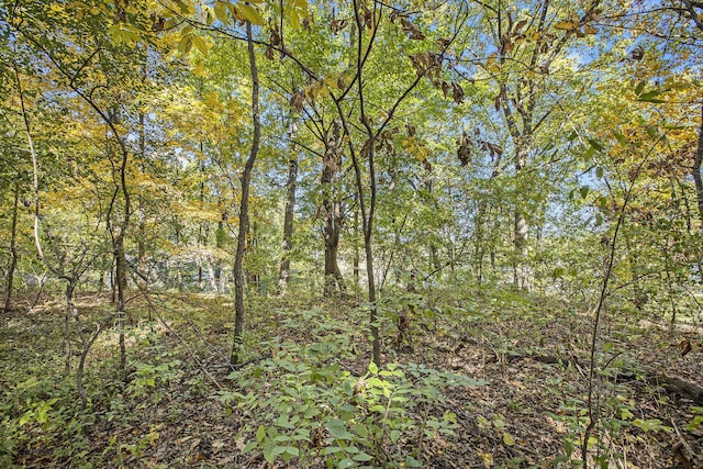 907 Ridge Ct, Chelsea, MI 48118
