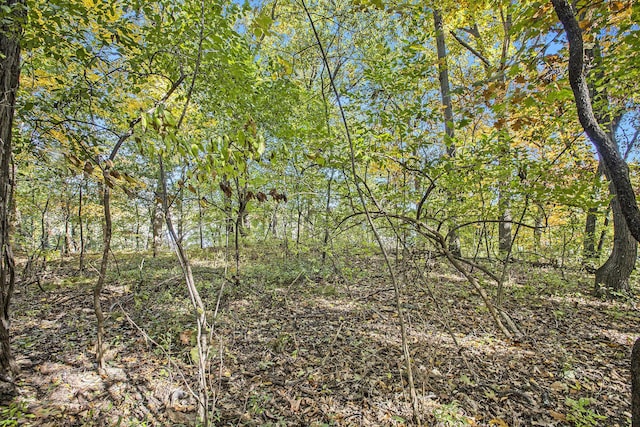 907 Ridge Ct, Chelsea, MI 48118