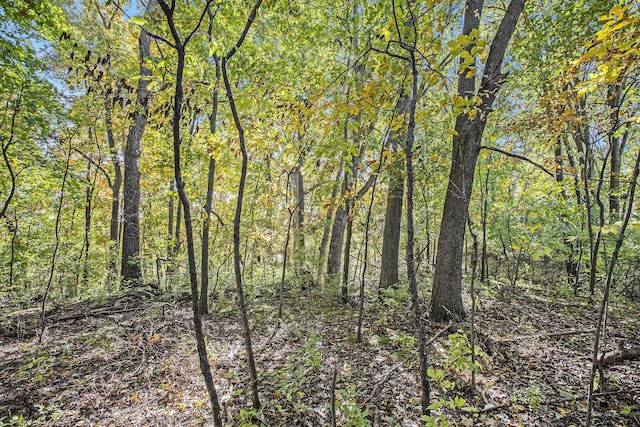 907 Ridge Ct, Chelsea, MI 48118