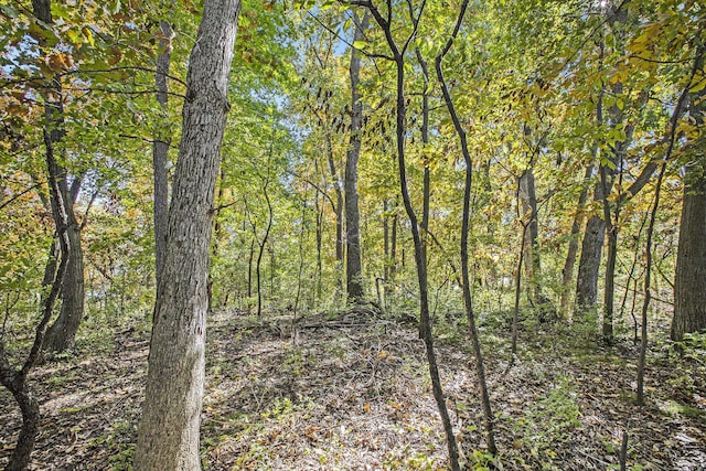 907 Ridge Ct, Chelsea, MI 48118