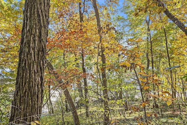 907 Ridge Ct, Chelsea, MI 48118