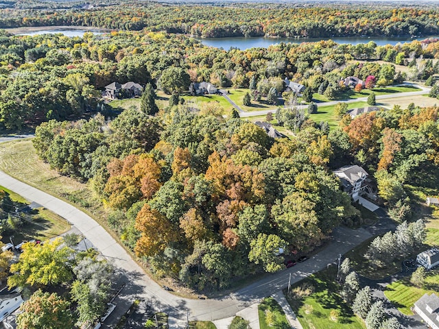 907 Ridge Ct, Chelsea, MI 48118