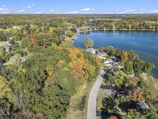 907 Ridge Ct, Chelsea, MI 48118