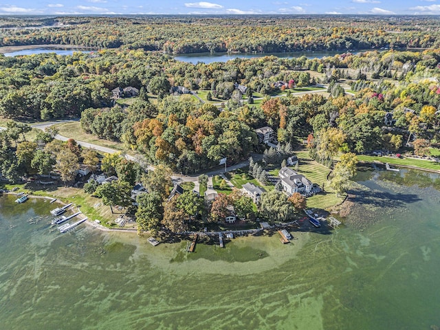 907 Ridge Ct, Chelsea, MI 48118