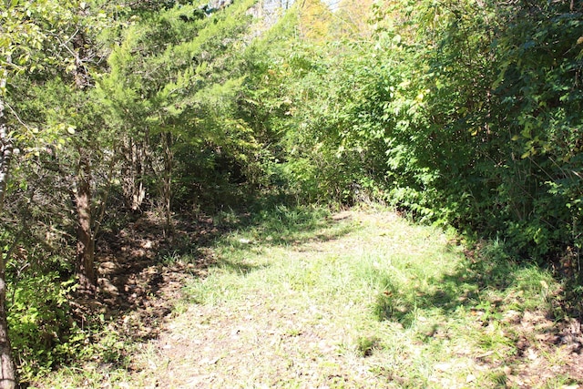 VACANT E Clark Rd, Ypsilanti, MI 48198 - photo 1