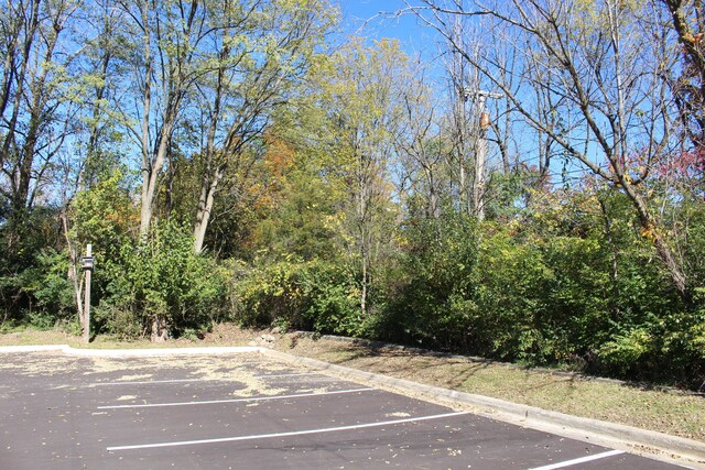 VACANT E Clark Rd, Ypsilanti, MI 48198 - photo 5