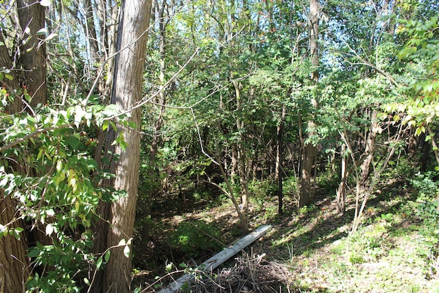 VACANT E Clark Rd, Ypsilanti, MI 48198 - photo 8
