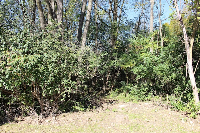 VACANT E Clark Rd, Ypsilanti, MI 48198 - photo 10