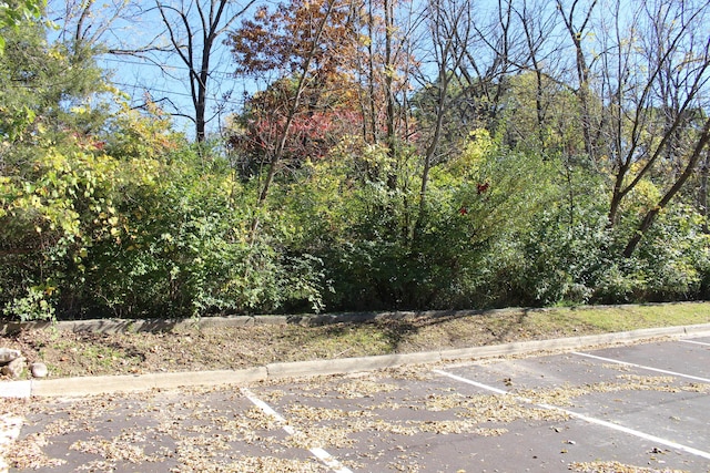 VACANT E Clark Rd, Ypsilanti, MI 48198 - photo 13