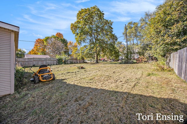 view of yard