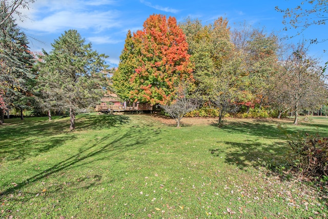 view of yard