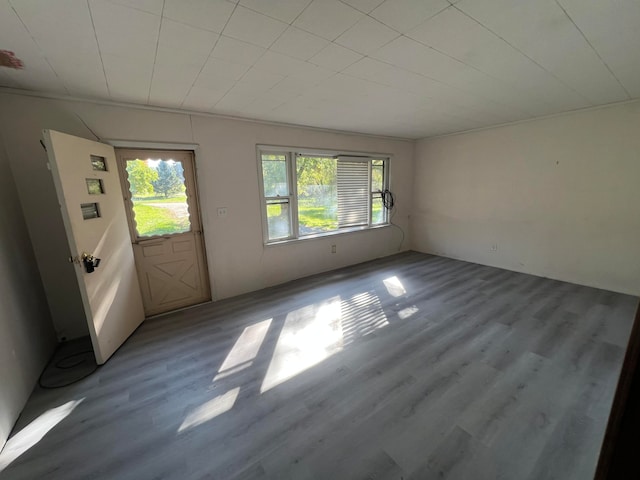 empty room with hardwood / wood-style floors