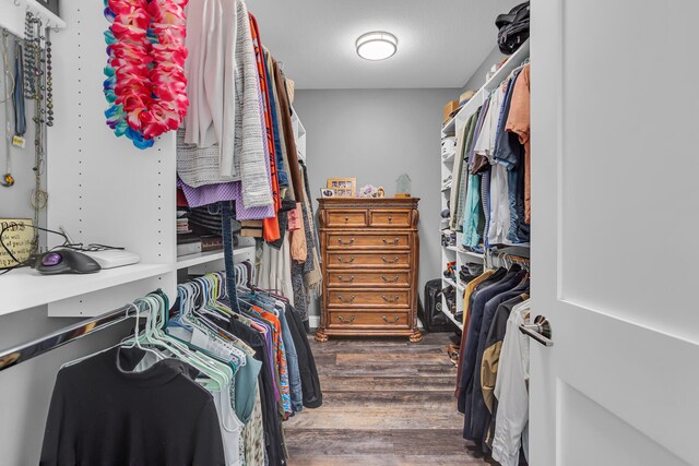 spacious closet featuring dark wood-type flooring