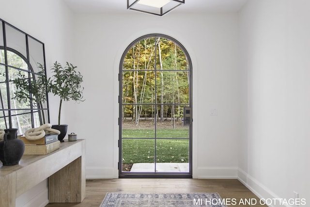 entryway with hardwood / wood-style flooring