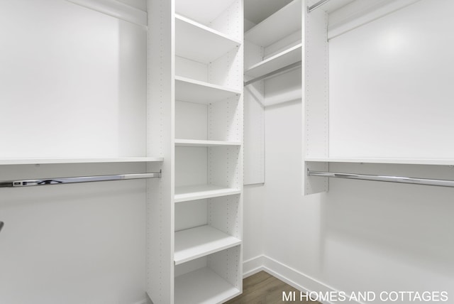 spacious closet featuring wood-type flooring