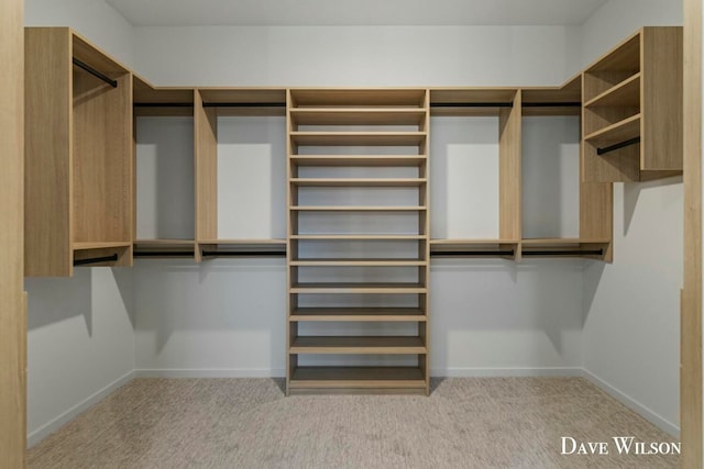 spacious closet with radiator heating unit and light colored carpet