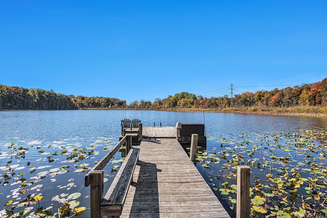 dock area featuring a water view