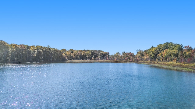 view of water feature