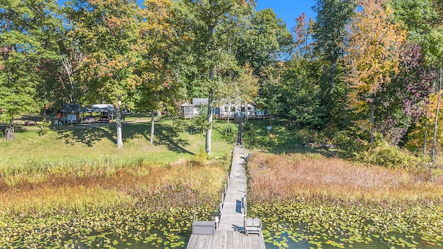 view of yard with a water view and a dock