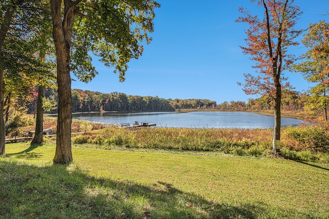 property view of water