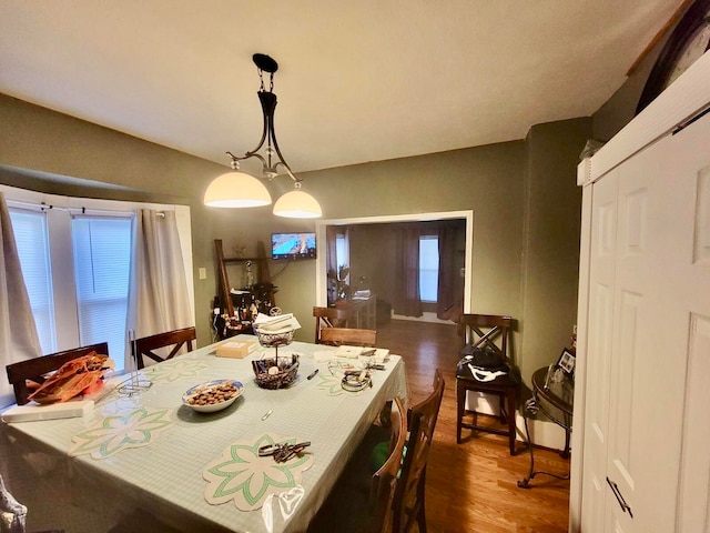 dining area featuring wood-type flooring