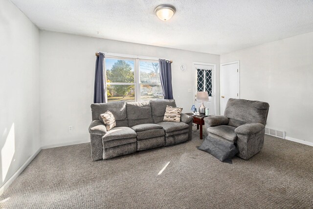 living room featuring a textured ceiling and carpet flooring