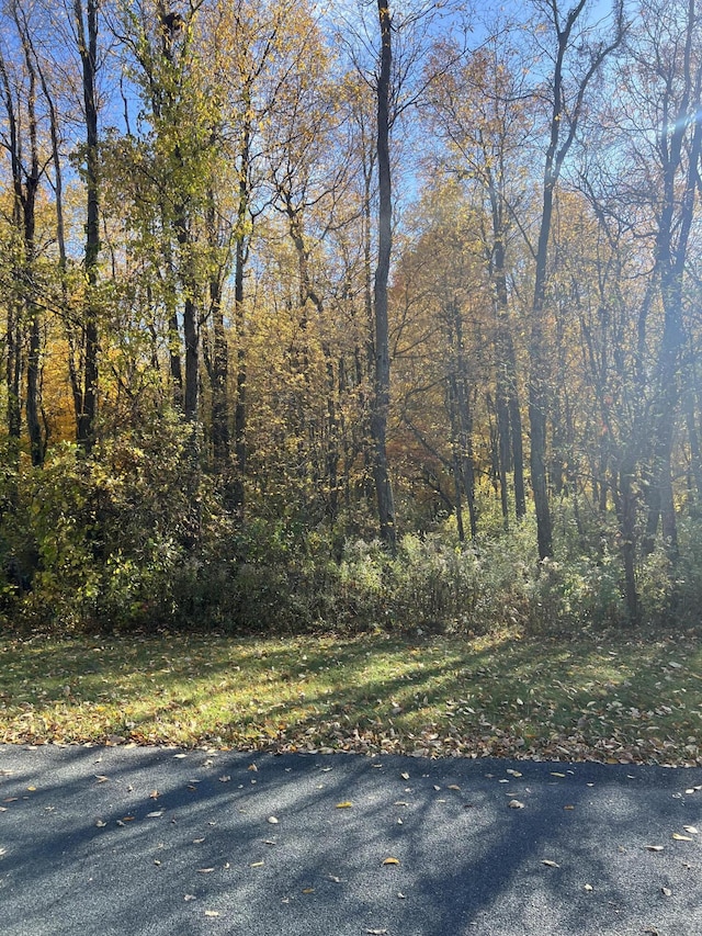 9122 Richland Woods Dr, Richland, MI 49083 - photo 4