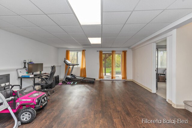 workout room with a drop ceiling and dark hardwood / wood-style floors