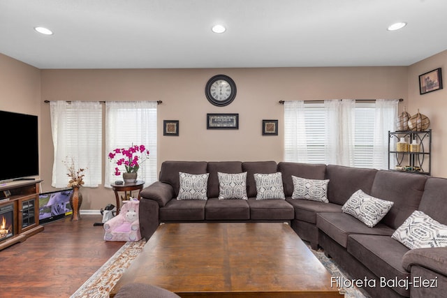 living room with dark hardwood / wood-style floors