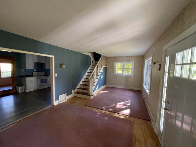 foyer entrance featuring a wealth of natural light and dark hardwood / wood-style flooring