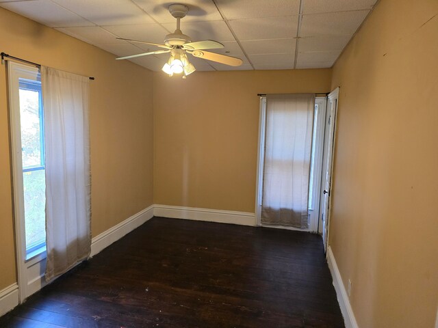 empty room featuring a drop ceiling, ceiling fan, and dark hardwood / wood-style flooring