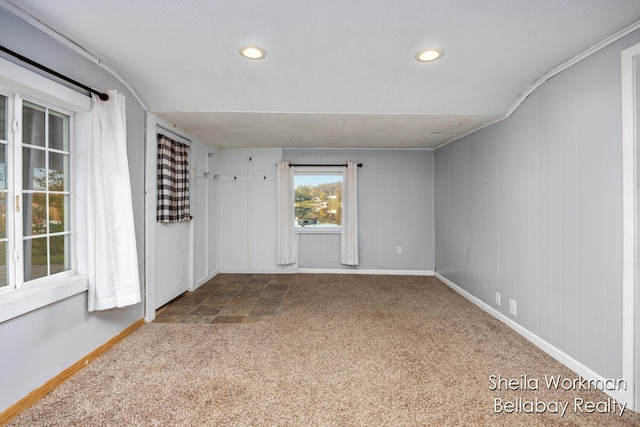 carpeted spare room with wood walls