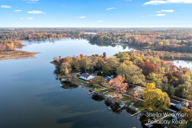 aerial view with a water view