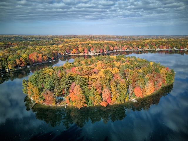 8918 W School Section Lake Dr, Mecosta MI, 49332, 4 bedrooms, 2.5 baths house for sale