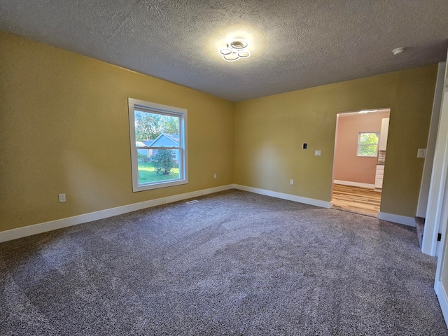 carpeted empty room with a wealth of natural light and a textured ceiling