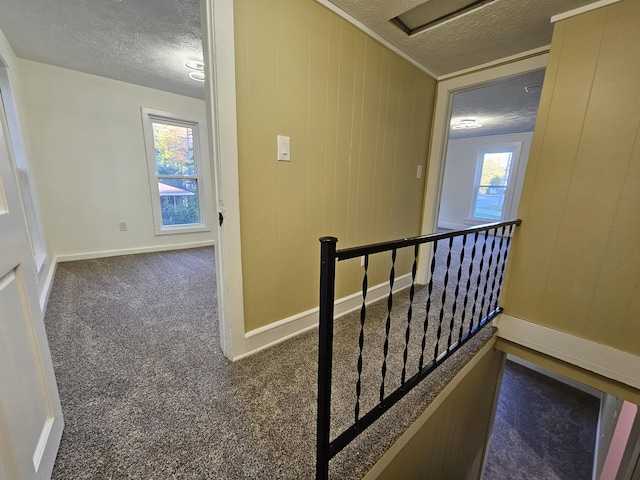 99 S Western Ave, Grant, MI 49327 - photo 20