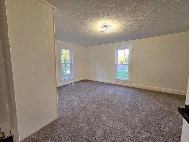 empty room featuring a textured ceiling, carpet floors, and a wealth of natural light