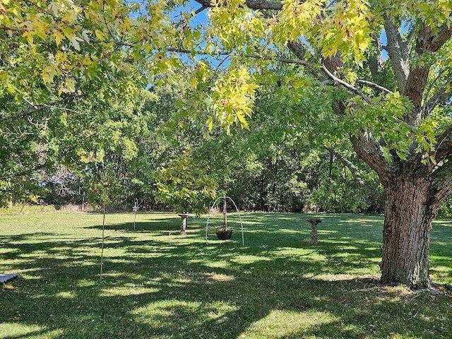 view of property's community with a yard