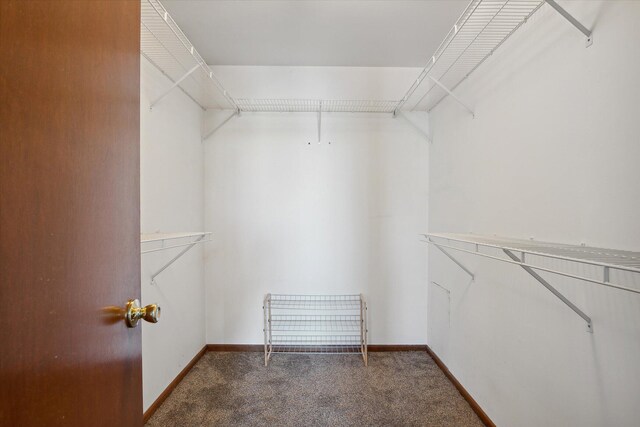 spacious closet featuring dark carpet