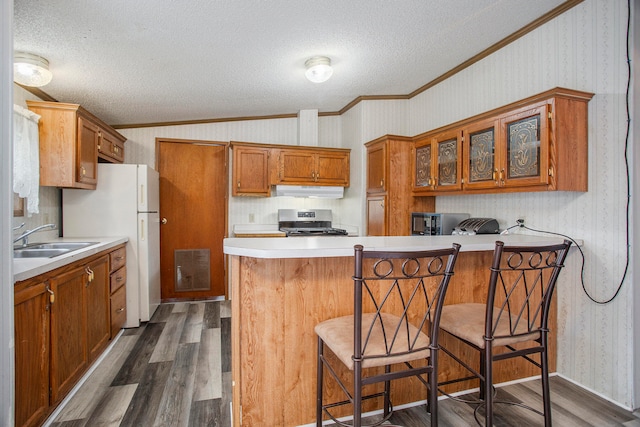 kitchen with sink, stainless steel range oven, dark hardwood / wood-style flooring, ornamental molding, and a breakfast bar