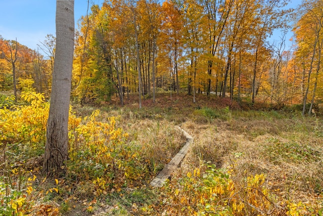 view of nature