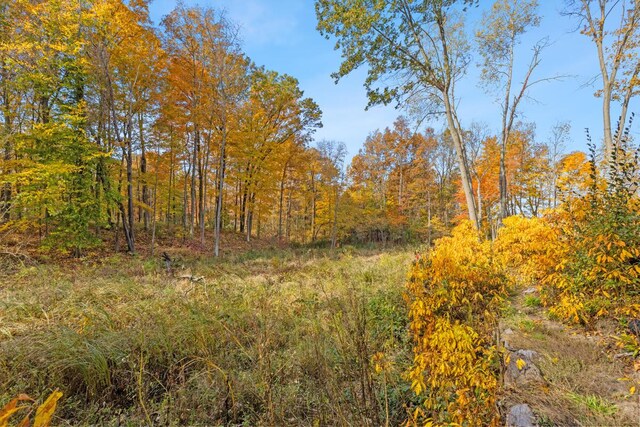 6346 Riverside Rd, Fennville, MI 49408 - photo 44