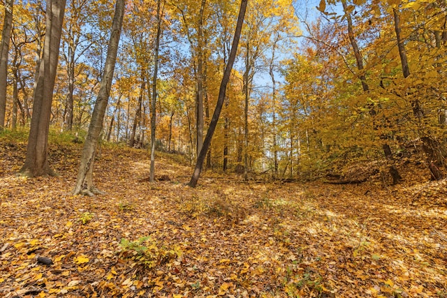 view of landscape