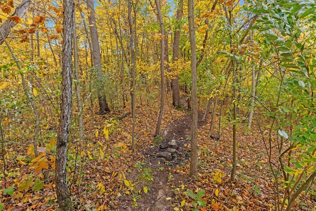 view of local wilderness