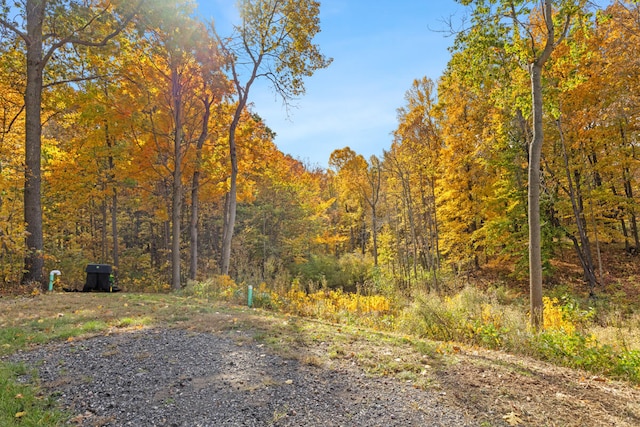 view of road