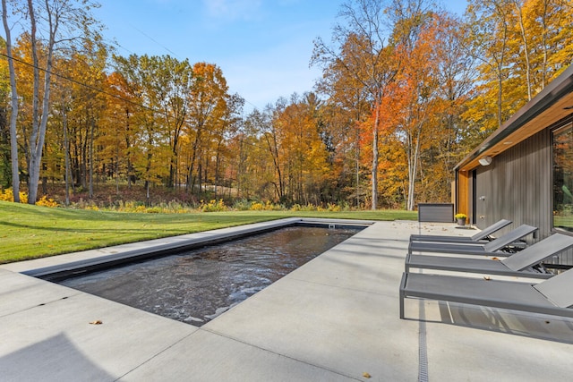 view of pool with a patio and a lawn