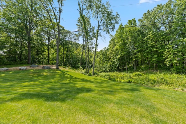 6346 Riverside Rd, Fennville, MI 49408 - photo 5