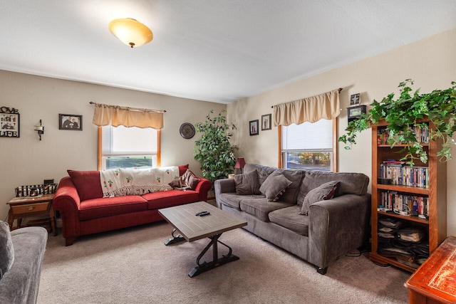 carpeted living room with a healthy amount of sunlight