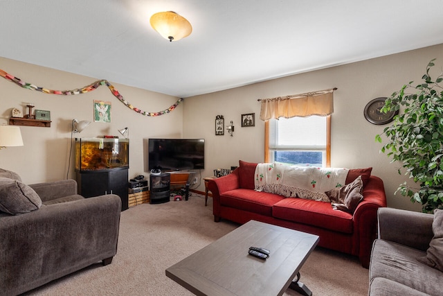 living room featuring carpet flooring