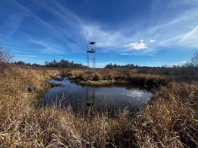 VL Twin Creek Rd, Luther MI, 49656 land for sale